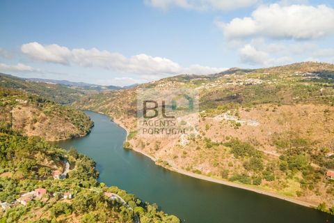Terra a Resende, Viseu, Resende - € 260.000 | Ref: SÒL_744 - foto 18