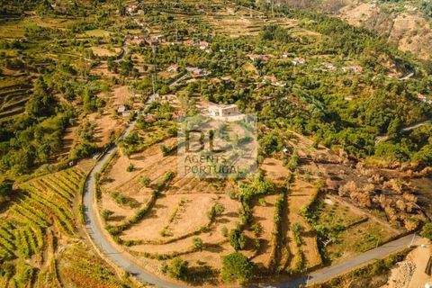 Terra a Resende, Viseu, Resende - € 260.000 | Ref: SÒL_744 - foto 19