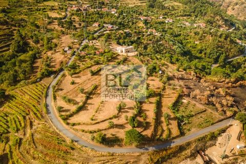 Terra a Resende, Viseu, Resende - € 260.000 | Ref: SÒL_744 - foto 20
