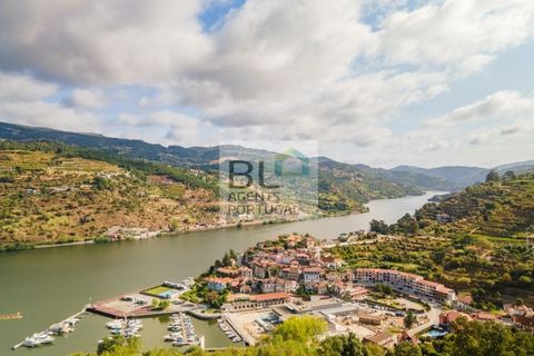Terra a Resende, Viseu, Resende - € 260.000 | Ref: SÒL_744 - foto 21