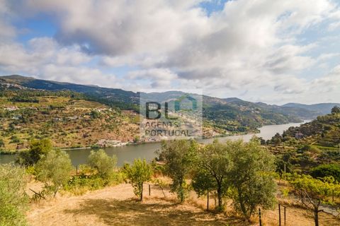 Terra a Resende, Viseu, Resende - € 260.000 | Ref: SÒL_744 - foto 25