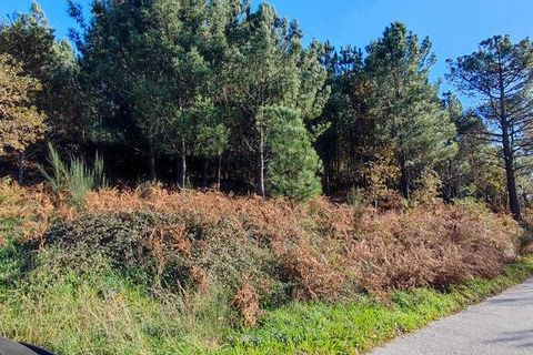 Terra a Castro Daire, Viseu, Castro Daire - € 19.500 | Ref: 107003 - foto 2