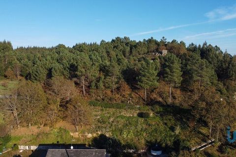 Terra a Castro Daire, Viseu, Castro Daire - € 19.500 | Ref: 107003 - foto 3