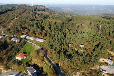 Terra a Castro Daire, Viseu, Castro Daire - € 19.500 | Ref: 107003 - foto 4