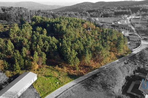 Terra a Castro Daire, Viseu, Castro Daire - € 19.500 | Ref: 107003 - foto 5
