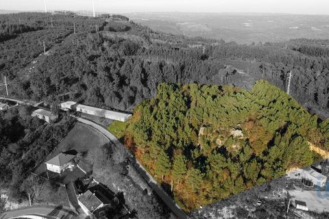 Terra a Castro Daire, Viseu, Castro Daire - € 19.500 | Ref: 107003 - foto 6