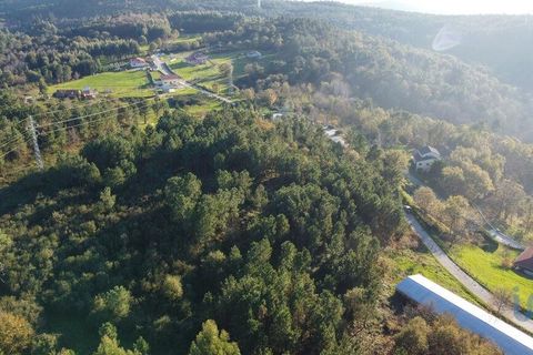 Terra a Castro Daire, Viseu, Castro Daire - € 19.500 | Ref: 107003 - foto 7
