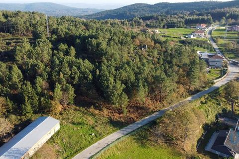 Terra a Castro Daire, Viseu, Castro Daire - € 19.500 | Ref: 107003 - foto 8