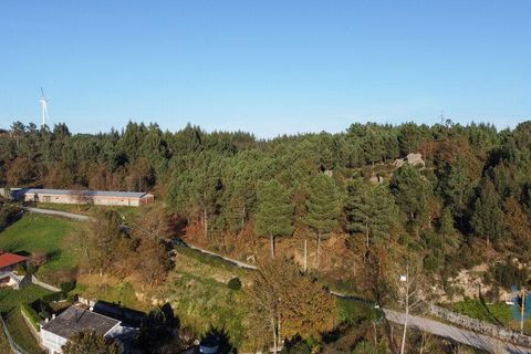 Terra a Castro Daire, Viseu, Castro Daire - € 19.500 | Ref: 107003 - foto 9