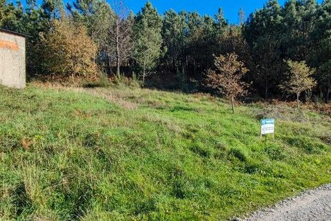 Terra a Castro Daire, Viseu, Castro Daire - € 19.500 | Ref: 107003 - foto 10