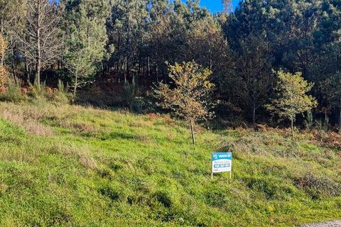 Terra a Castro Daire, Viseu, Castro Daire - € 19.500 | Ref: 107003 - foto 11