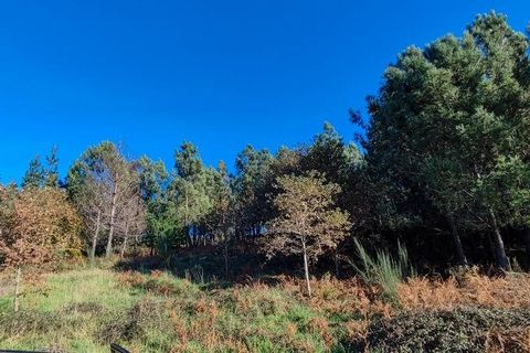Terra a Castro Daire, Viseu, Castro Daire - € 19.500 | Ref: 107003 - foto 13