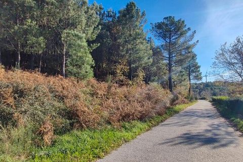 Terra a Castro Daire, Viseu, Castro Daire - € 19.500 | Ref: 107003 - foto 14