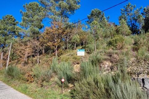 Terra a Castro Daire, Viseu, Castro Daire - € 19.500 | Ref: 107003 - foto 15