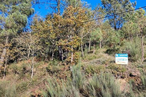 Terra a Castro Daire, Viseu, Castro Daire - € 19.500 | Ref: 107003 - foto 16