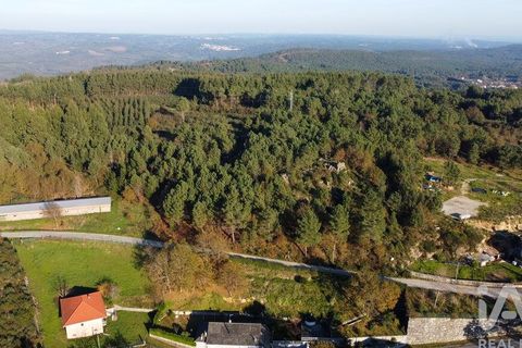 Terra a Castro Daire, Viseu, Castro Daire - € 19.500 | Ref: 107003 - foto 17