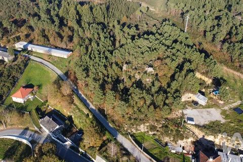 Terra a Castro Daire, Viseu, Castro Daire - € 19.500 | Ref: 107003 - foto 18