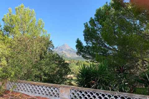 Villa a Es Capdella, Mallorca, Es Capdella - € 1.650.000 | Ref: 74570 - foto 12
