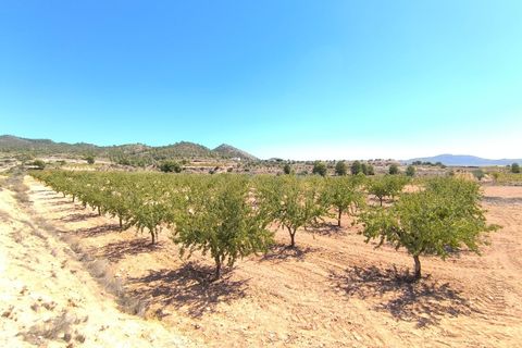 Helårsgrund i Monovar, Alicante, Monovar - € 23.990 | Ref: 70074 - foto 1