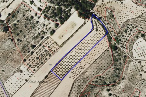 Helårsgrund i Monovar, Alicante, Monovar - € 23.990 | Ref: 70074 - foto 5