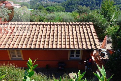 Landejendom i Lucca, Lucca, Lucca - € 380.000 | Ref: 1298 - foto 2