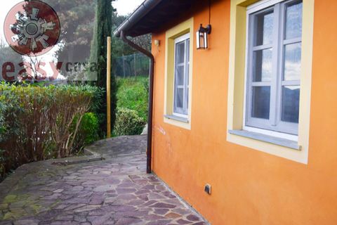 Landejendom i Lucca, Lucca, Lucca - € 380.000 | Ref: 1298 - foto 11
