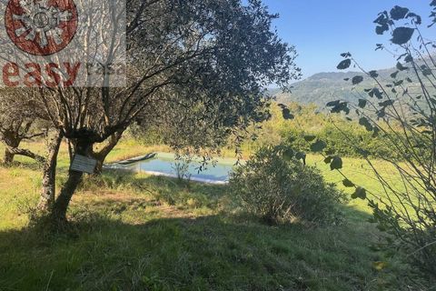 Landejendom i Lucca, Lucca, Lucca - € 1.500.000 | Ref: 1299 - foto 2