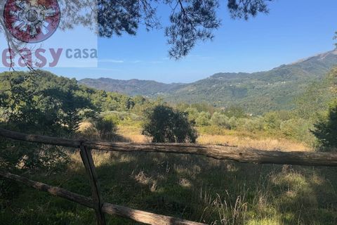 Landejendom i Lucca, Lucca, Lucca - € 1.500.000 | Ref: 1299 - foto 3