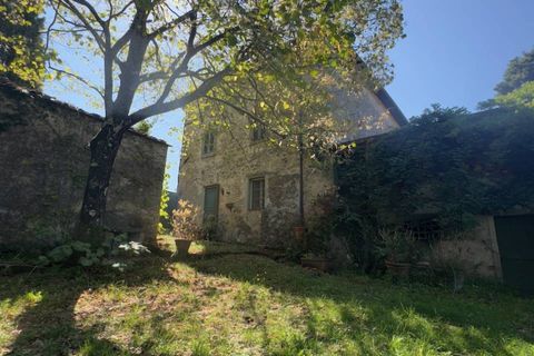 Landejendom i Lucca, Lucca, Lucca - € 1.500.000 | Ref: 1299 - foto 5