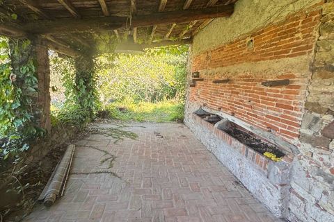 Landejendom i Lucca, Lucca, Lucca - € 1.500.000 | Ref: 1299 - foto 6
