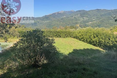 Landejendom i Lucca, Lucca, Lucca - € 1.500.000 | Ref: 1299 - foto 7