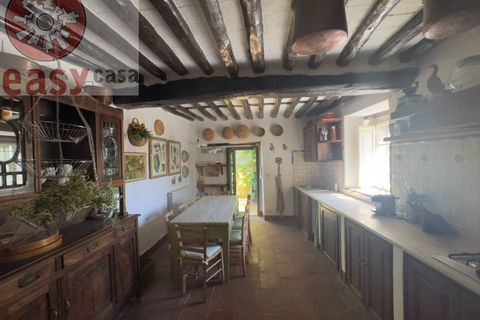 Landejendom i Lucca, Lucca, Lucca - € 1.500.000 | Ref: 1299 - foto 11