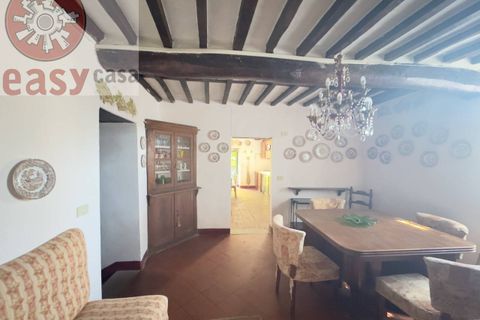 Landejendom i Lucca, Lucca, Lucca - € 1.500.000 | Ref: 1299 - foto 12