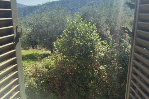 Landejendom i Lucca, Lucca, Lucca - € 1.500.000 | Ref: 1299 - foto 18