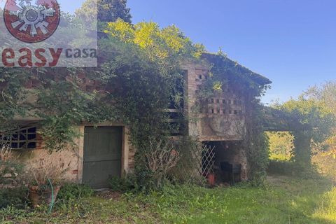 Landejendom i Lucca, Lucca, Lucca - € 1.500.000 | Ref: 1299 - foto 31