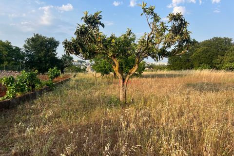 Landejendom i Cisternino, Brindisi, Cisternino - € 55.000 | Ref: 355 - foto 7