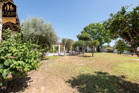 Cortijo a Antas, Almeria, Antas - € 449.950 | Ref: ANT7C01 - foto 49