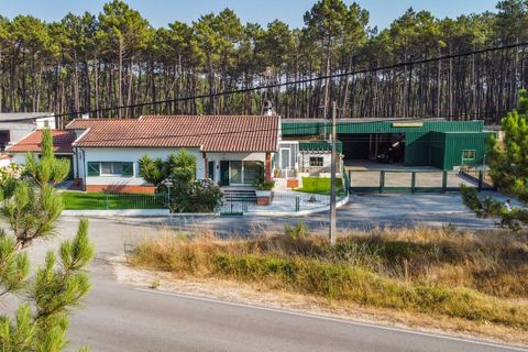 Villa i Alcobaca, Leiria, Alcobaca - € 750.000 | Ref: SF-SAFTI:008024 - foto 4