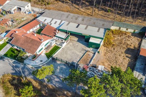 Villa i Alcobaca, Leiria, Alcobaca - € 750.000 | Ref: SF-SAFTI:008024 - foto 22