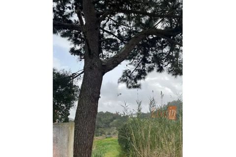 Helårsgrund i Mafra, Lisbon, Mafra - € 96.500 | Ref: 9788AA - foto 6