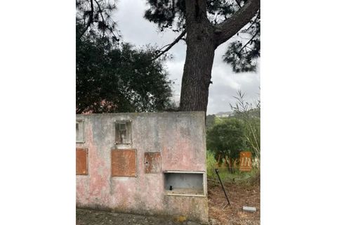 Helårsgrund i Mafra, Lisbon, Mafra - € 96.500 | Ref: 9788AA - foto 8