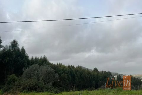 Helårsgrund i Mafra, Lisbon, Mafra - € 96.500 | Ref: 9788AA - foto 13