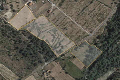 Villa i Boidobra, Castelo Branco, Boidobra - € 350.000 | Ref: CAS_206 - foto 3