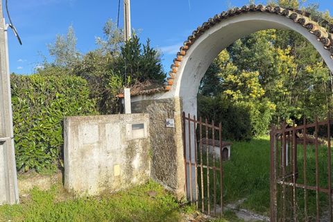 Villa i Boidobra, Castelo Branco, Boidobra - € 350.000 | Ref: CAS_206 - foto 8