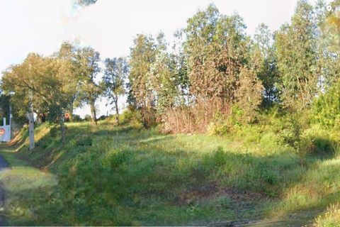 Terra a Sardoal, Santarem, Sardoal - € 30.000 | Ref: C0263-01917 - foto 2