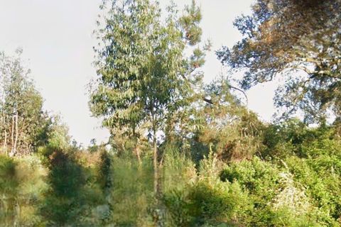 Terra a Sardoal, Santarem, Sardoal - € 30.000 | Ref: C0263-01917 - foto 6