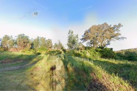 Terra a Sardoal, Santarem, Sardoal - € 30.000 | Ref: C0263-01917 - foto 7