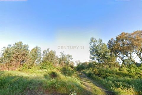 Terra a Sardoal, Santarem, Sardoal - € 30.000 | Ref: C0263-01917 - foto 10