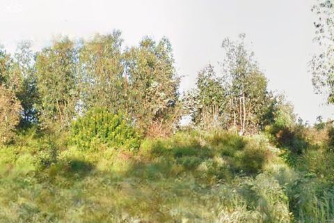 Terra a Sardoal, Santarem, Sardoal - € 30.000 | Ref: C0263-01917 - foto 12