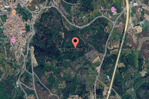 Terra a Sardoal, Santarem, Sardoal - € 30.000 | Ref: C0263-01917 - foto 13